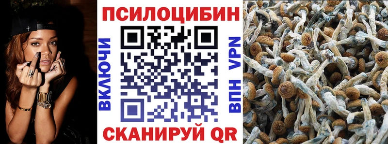 Галлюциногенные грибы GOLDEN TEACHER  Купить  Орёл 